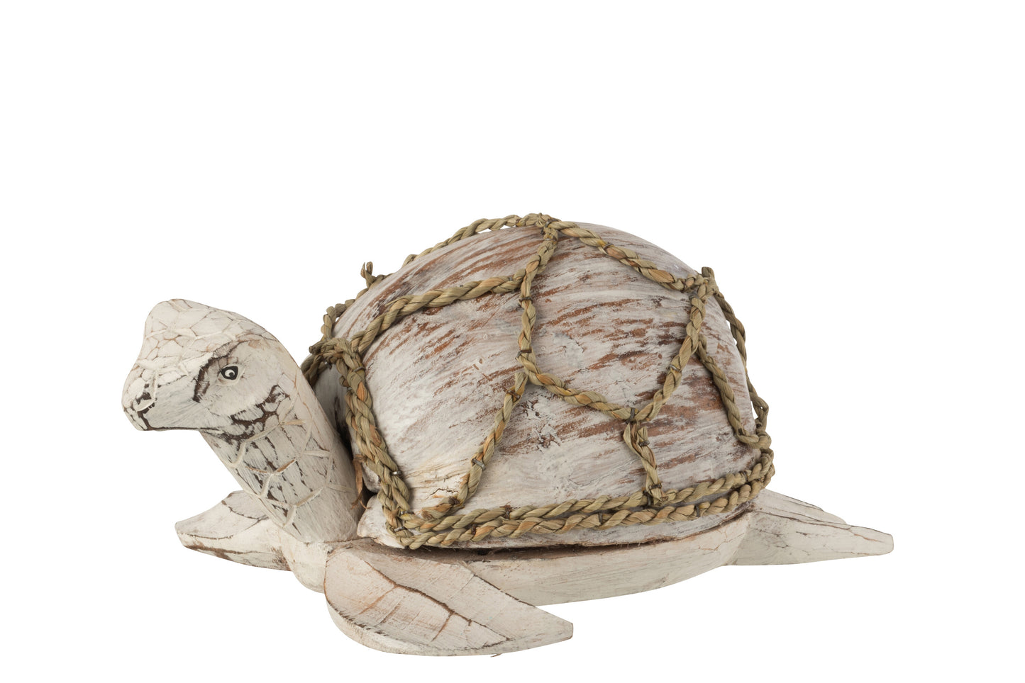 TURTLE COCONUT /ALABASIA WOOD WHITE