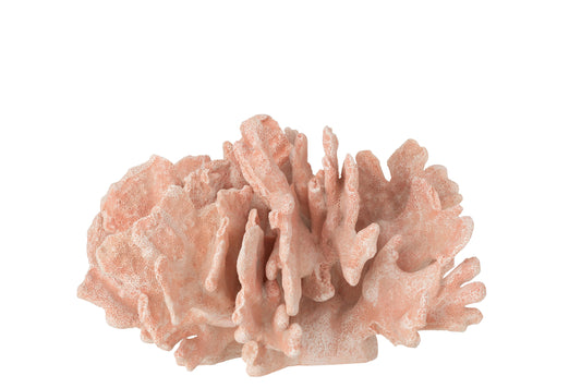 CORAL POLY SALMON LARGE