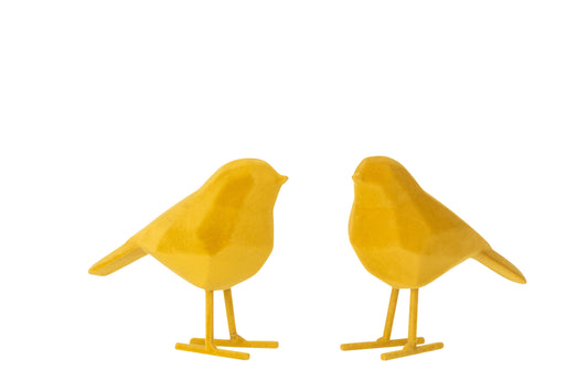 BIRD TIMO POLY YELLOW ASSORTMENT OF 2