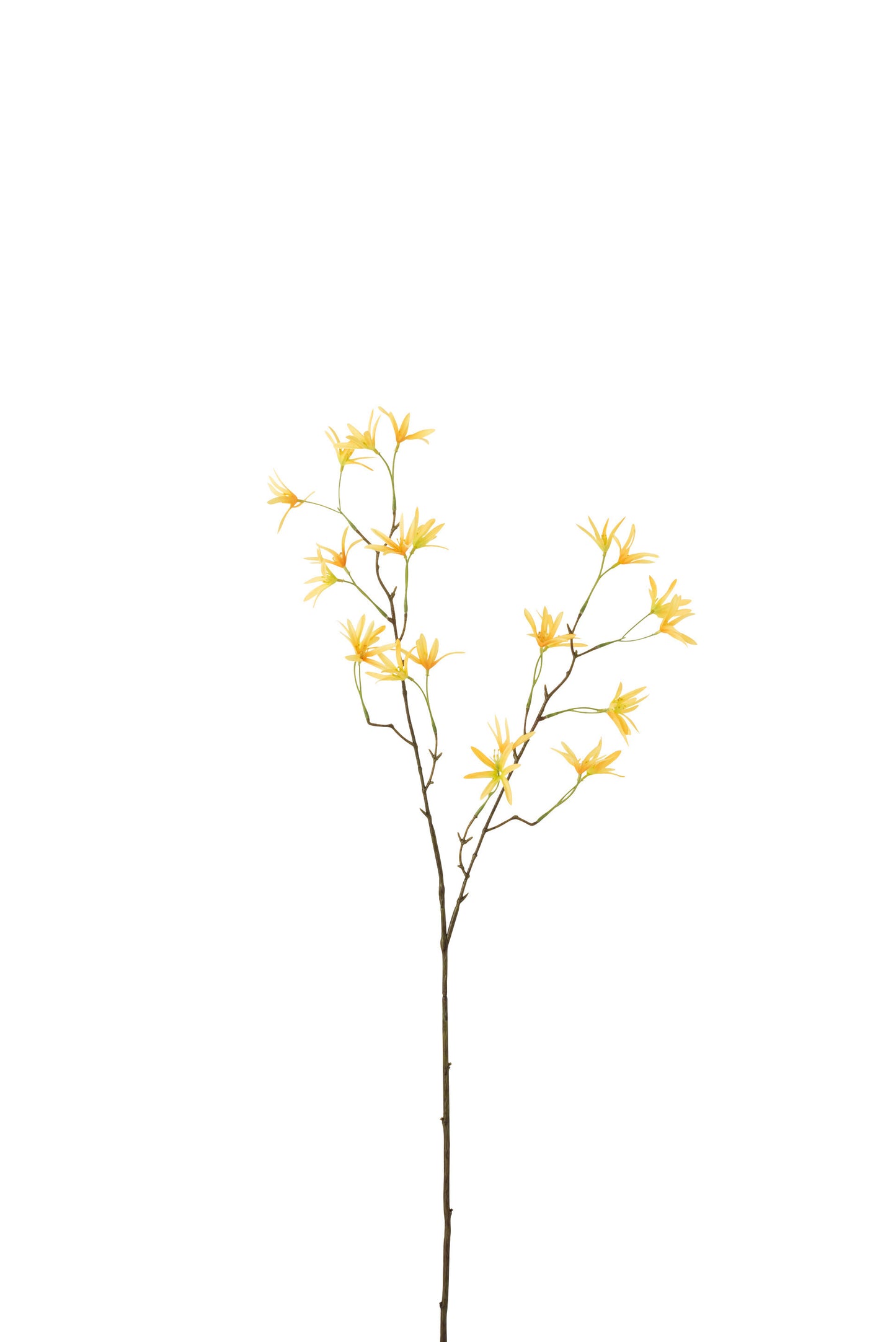 BRANCH TWEEDIA PLASTIC YELLOW