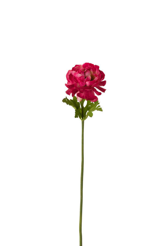 RANUNCULUS PLASTIC FUCHSIA