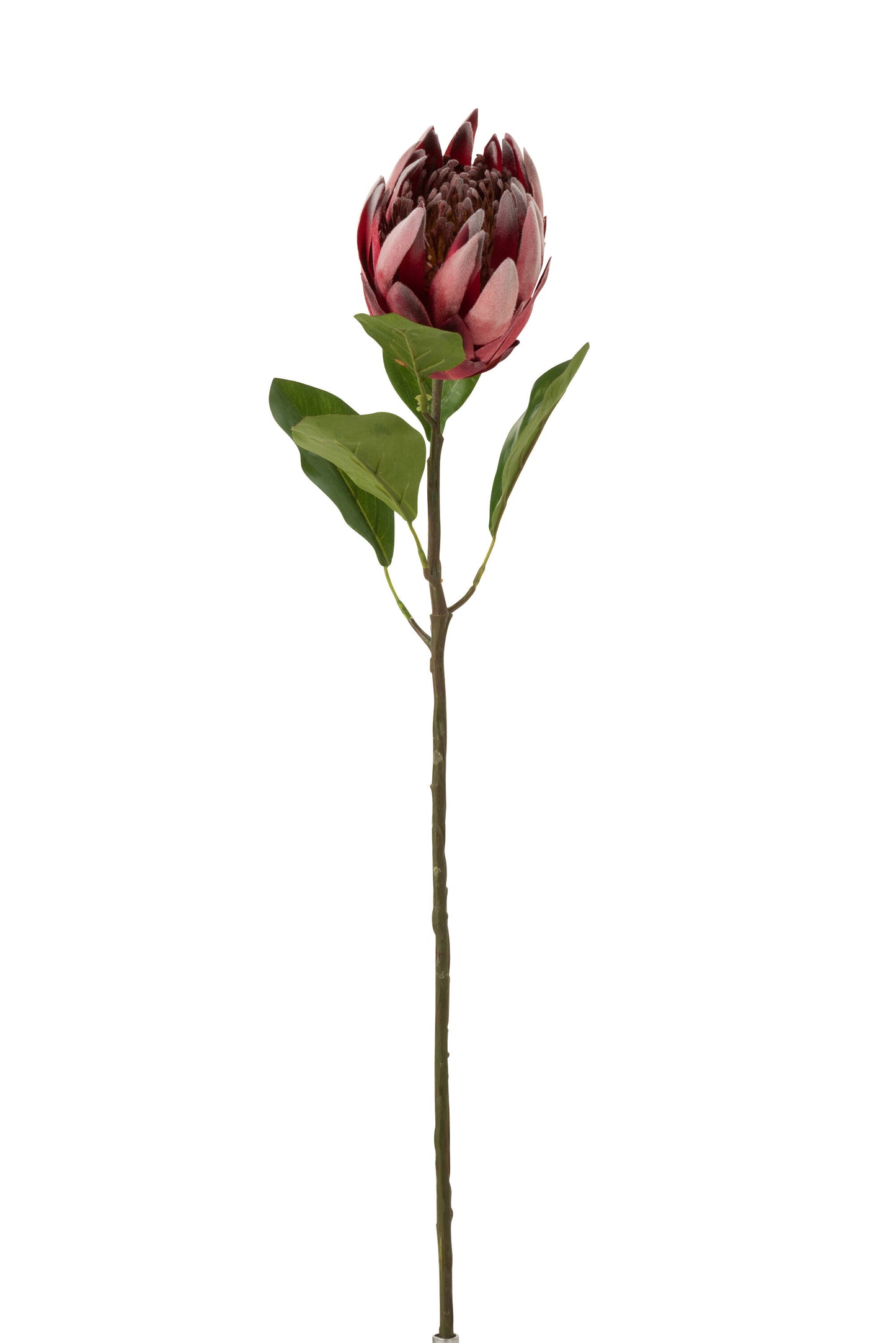 PROTEA BRANCH PLASTIC DARK RED