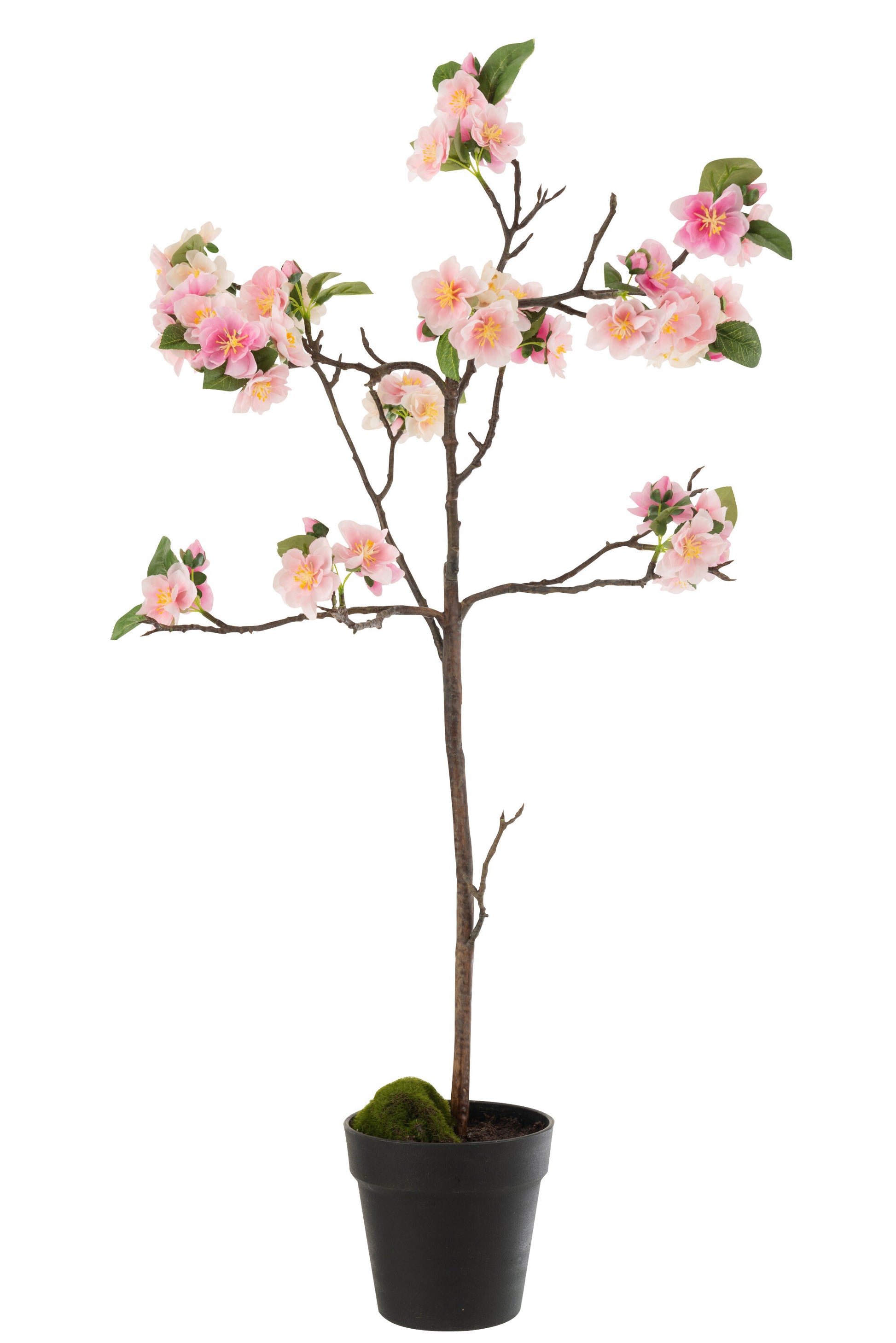 BLOSSOMTREE PLASTIC PINK/BROWN MEDIUM