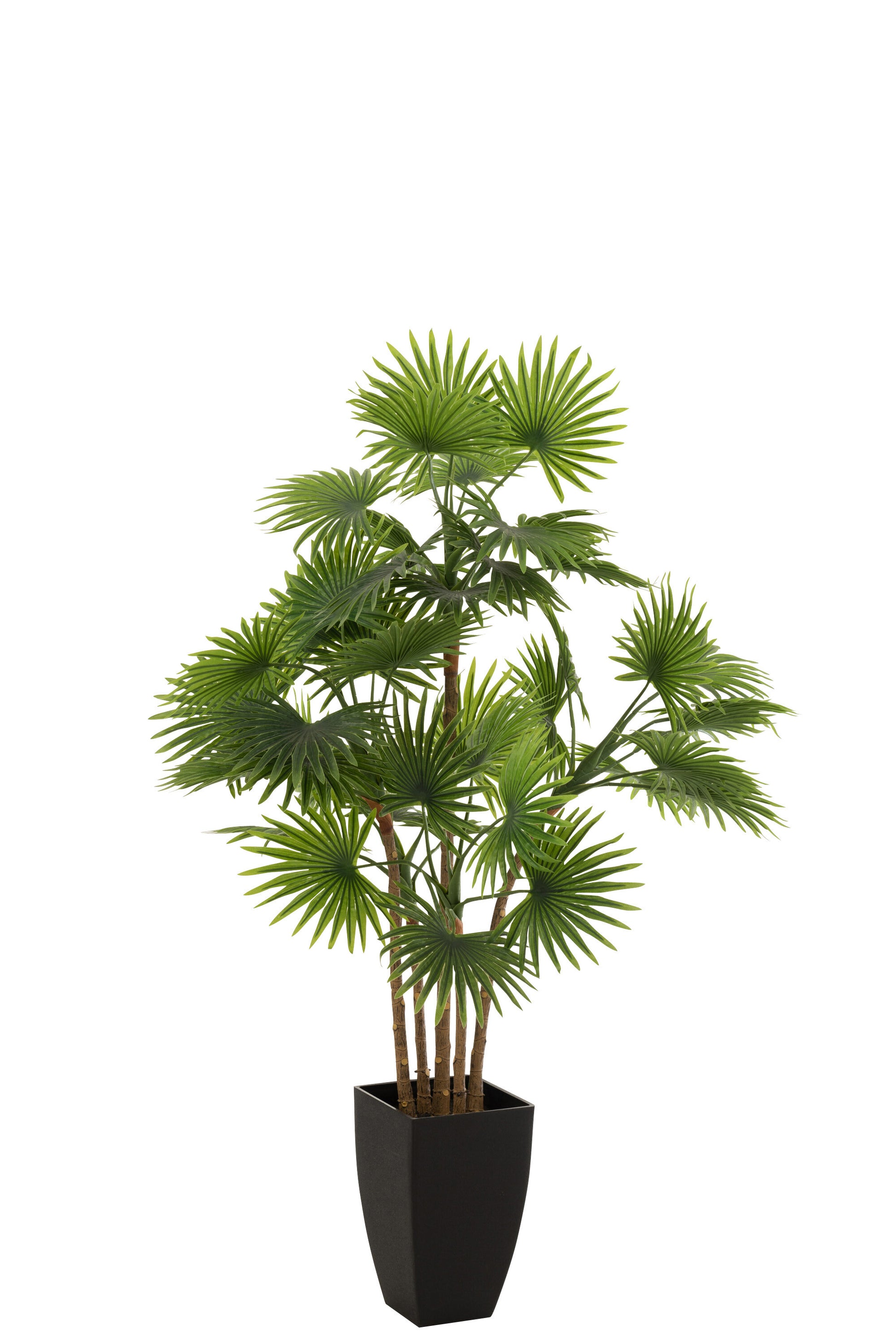 PALM TREE FAN IN POT PLASTIC GREEN