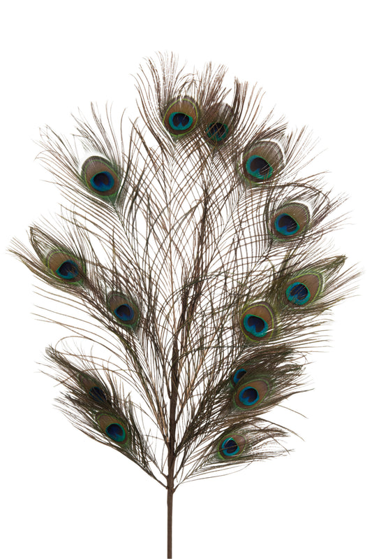 PEACOCK FEATHERS BRANCH 14FEATHERS COLOUR MIX