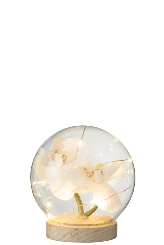 BELL JAR BALL LED FLOWERS GLASS/WOOD WHITE/NATURAL MEDIUM
