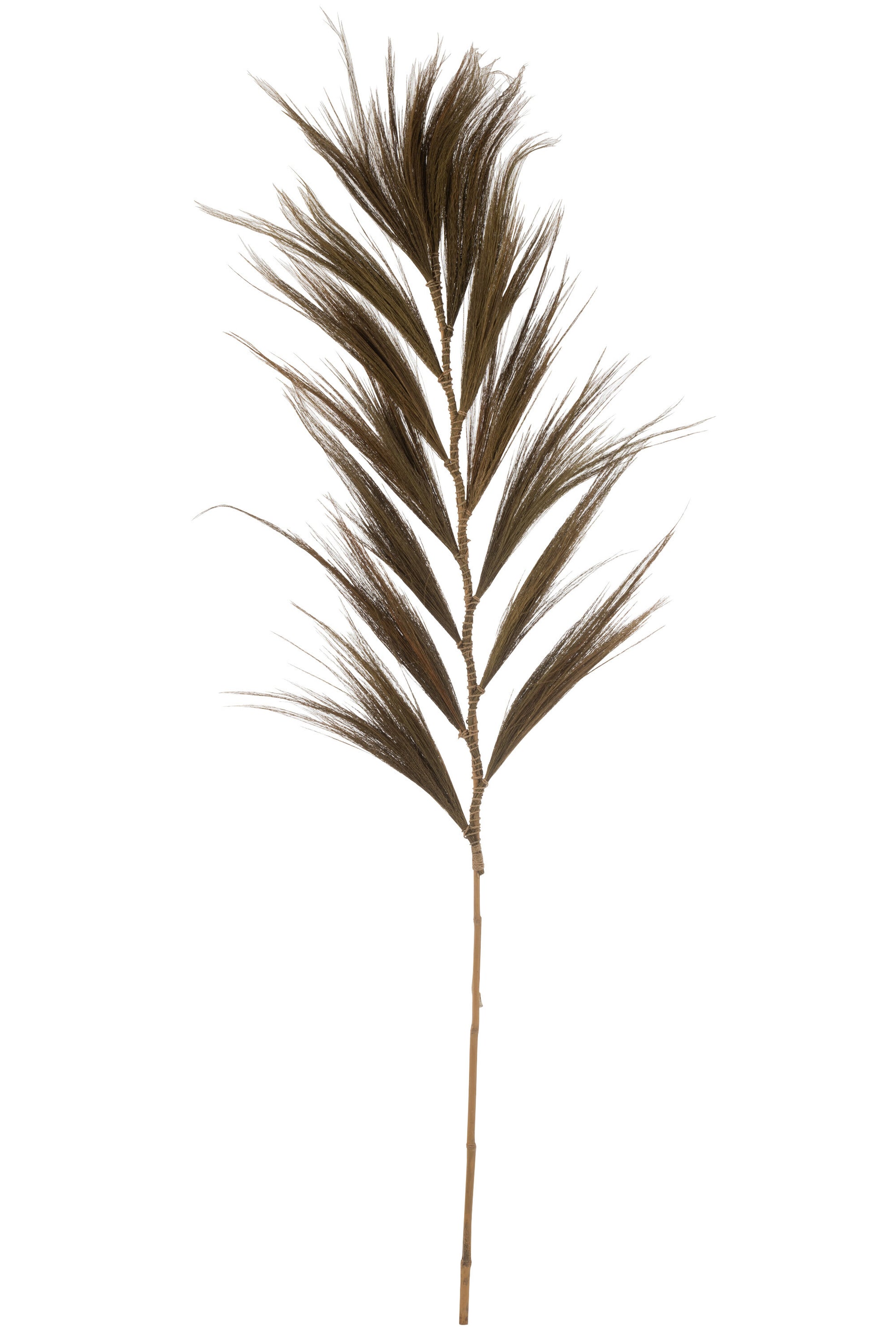 BRANCH GRASS BUNDLE DARK BROWN