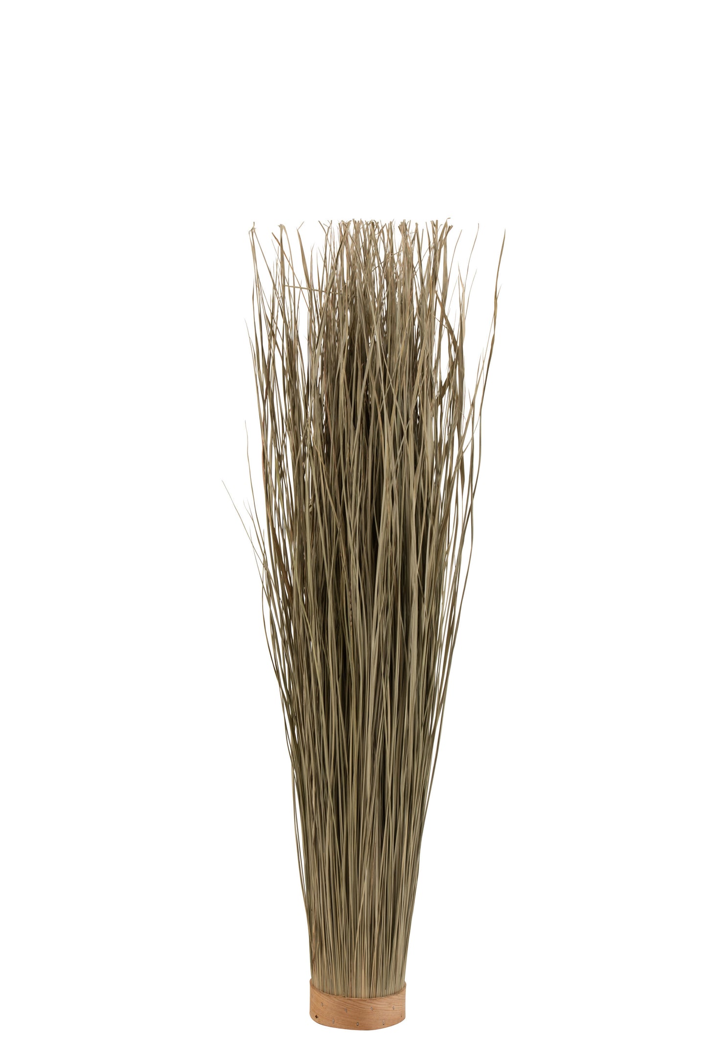 GRASSES DRIED ROUND GREEN SMALL