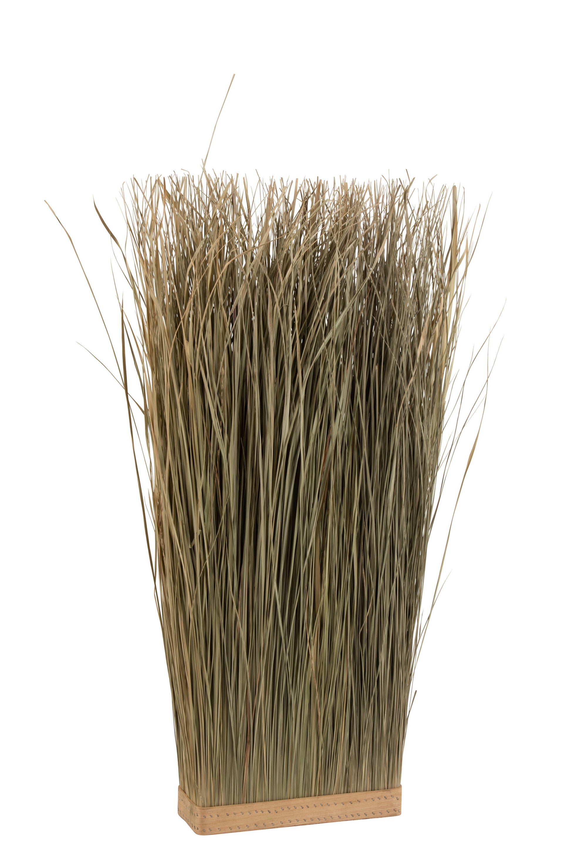 GRASSES DRIED RECTANGLE GREEN LARGE