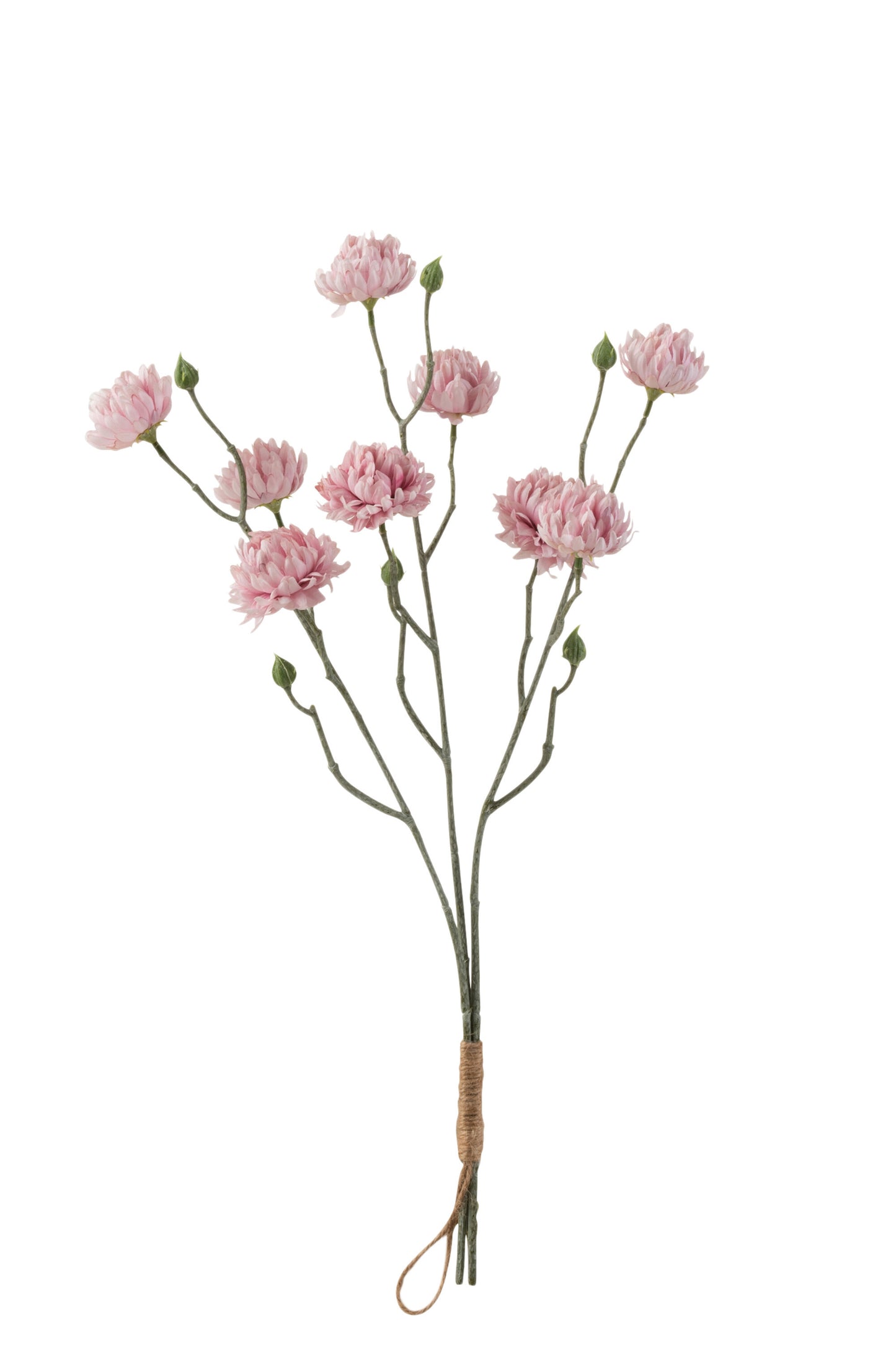 BUNDLE CHRYSANT PLASTIC PINK