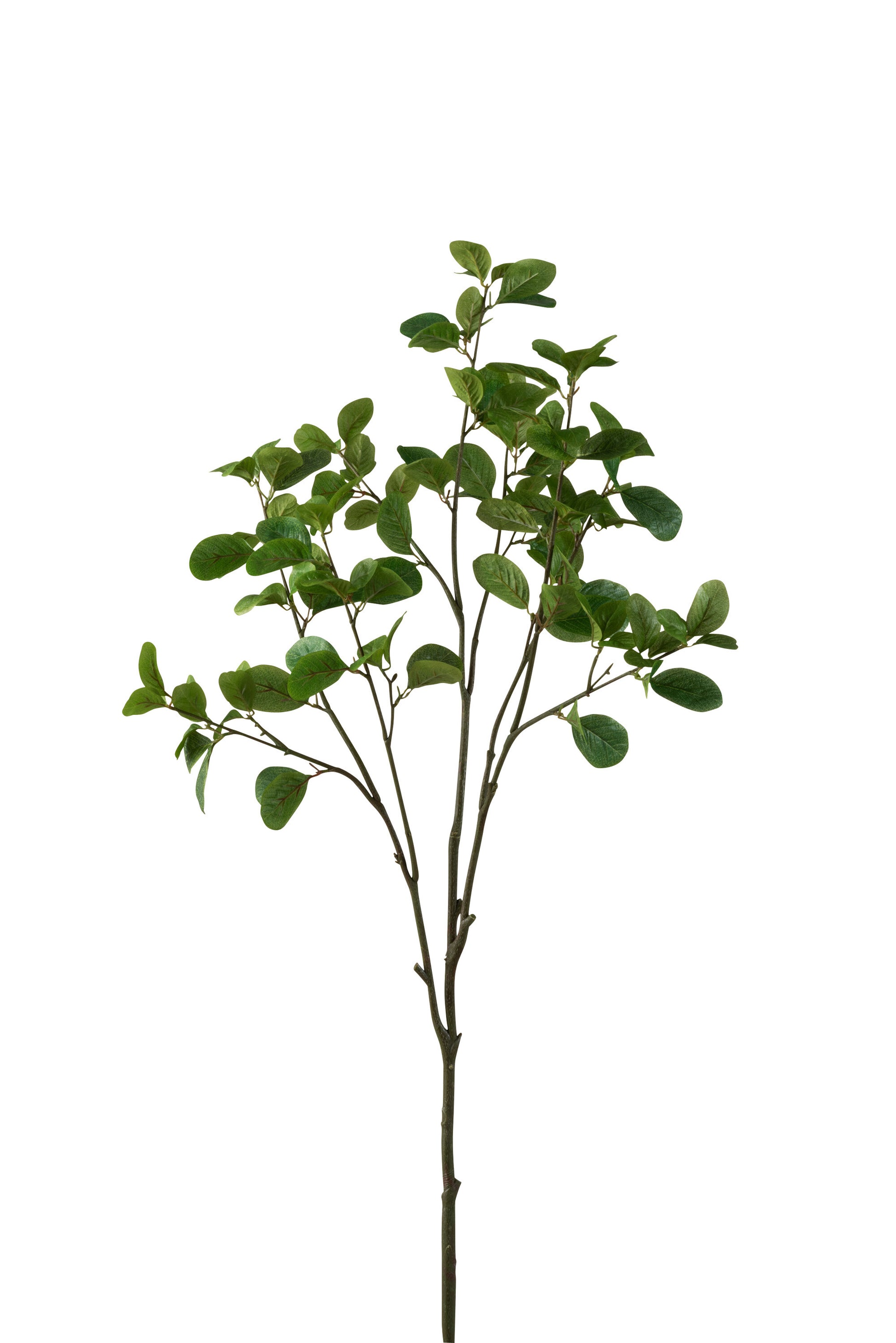 BRANCH CITRUS TREE PLASTIC GREEN