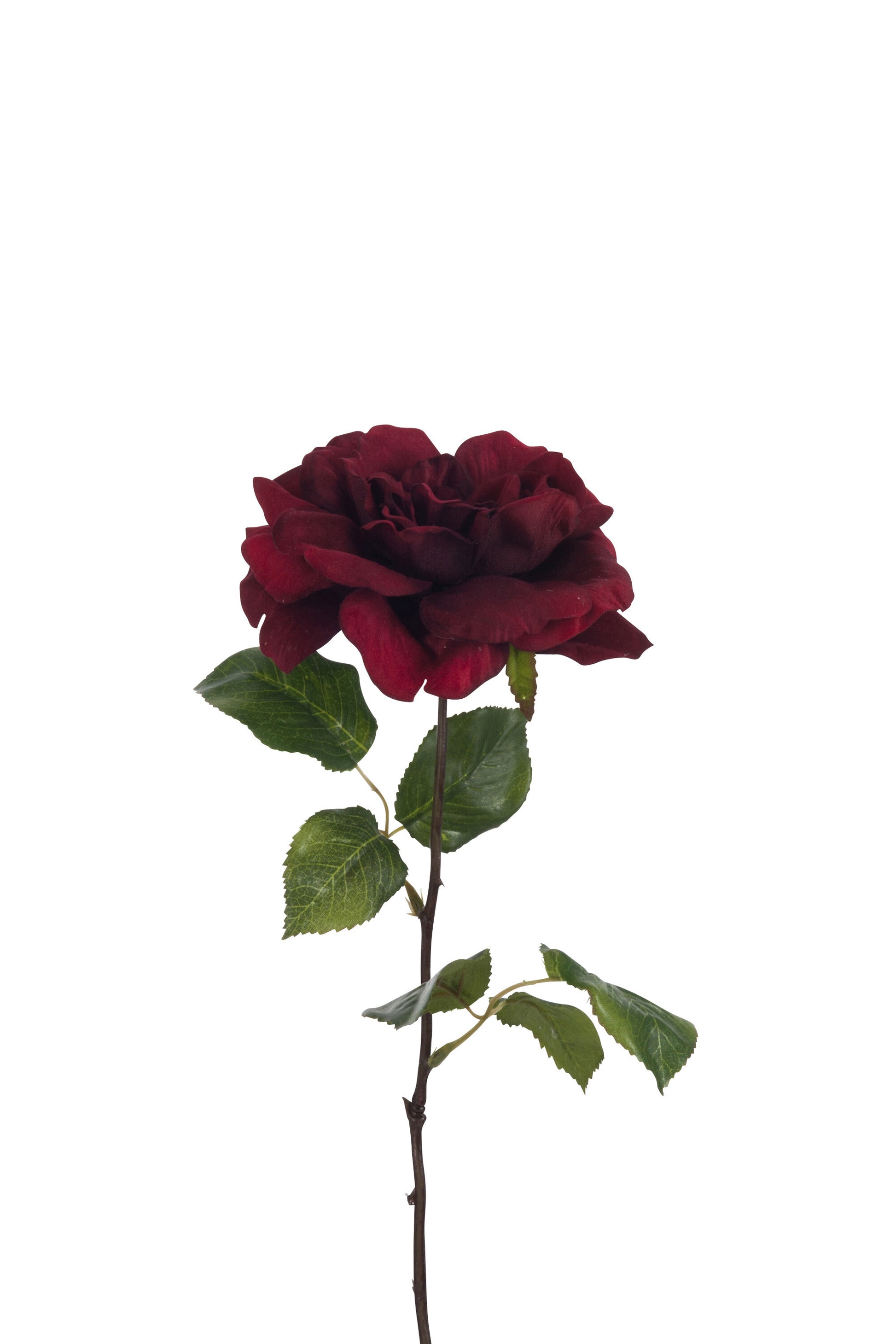 ROSE OPEN+2LEAVES DARK RED