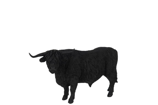 CATTLE POLY BLACK