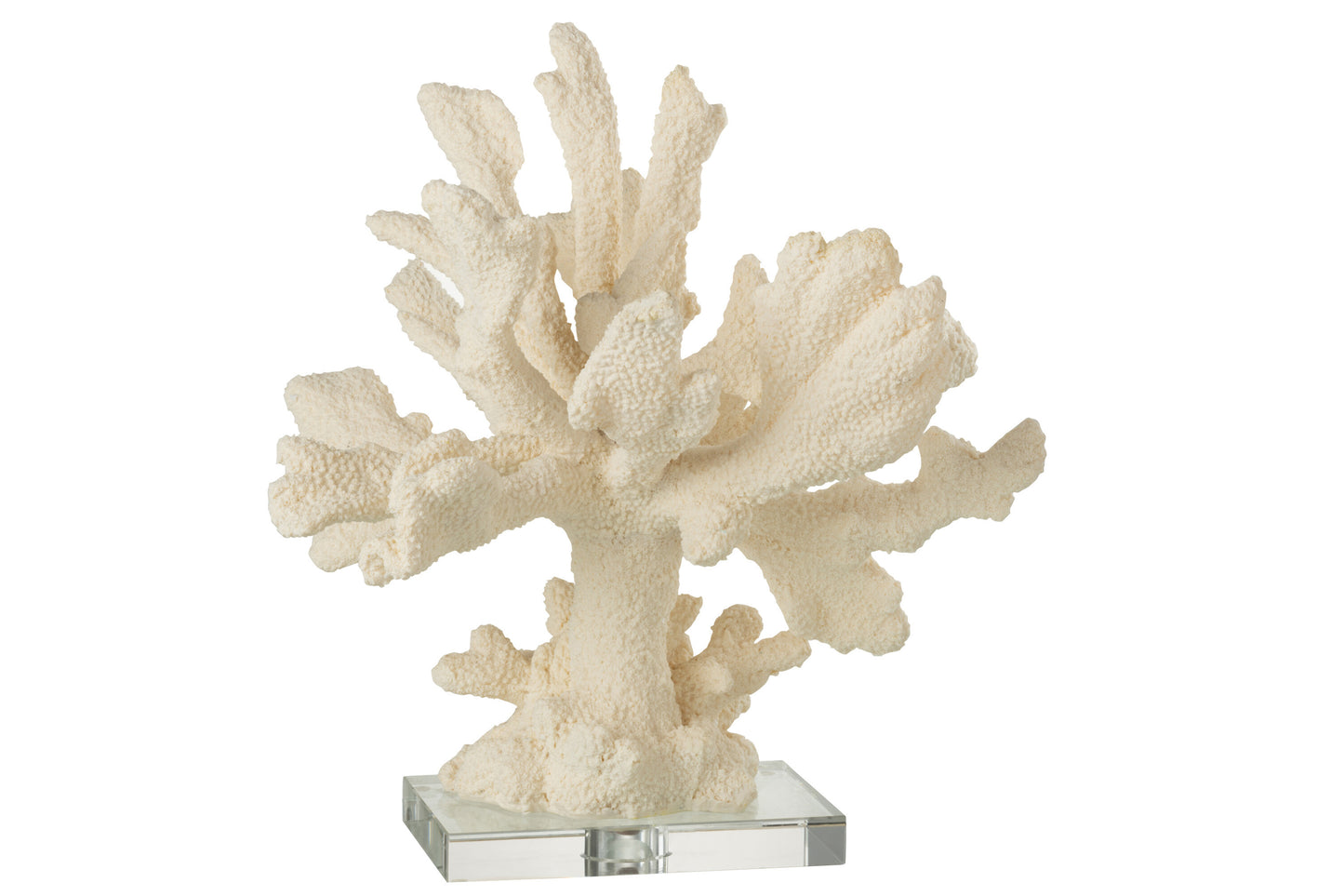 CORAL RESIN CREAM LARGE