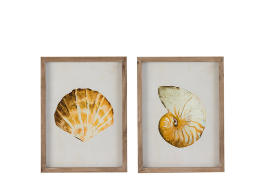 FRAME SEASHELL WOOD/GLASS YELLOW/BEIGE ASSORTMENT OF 2