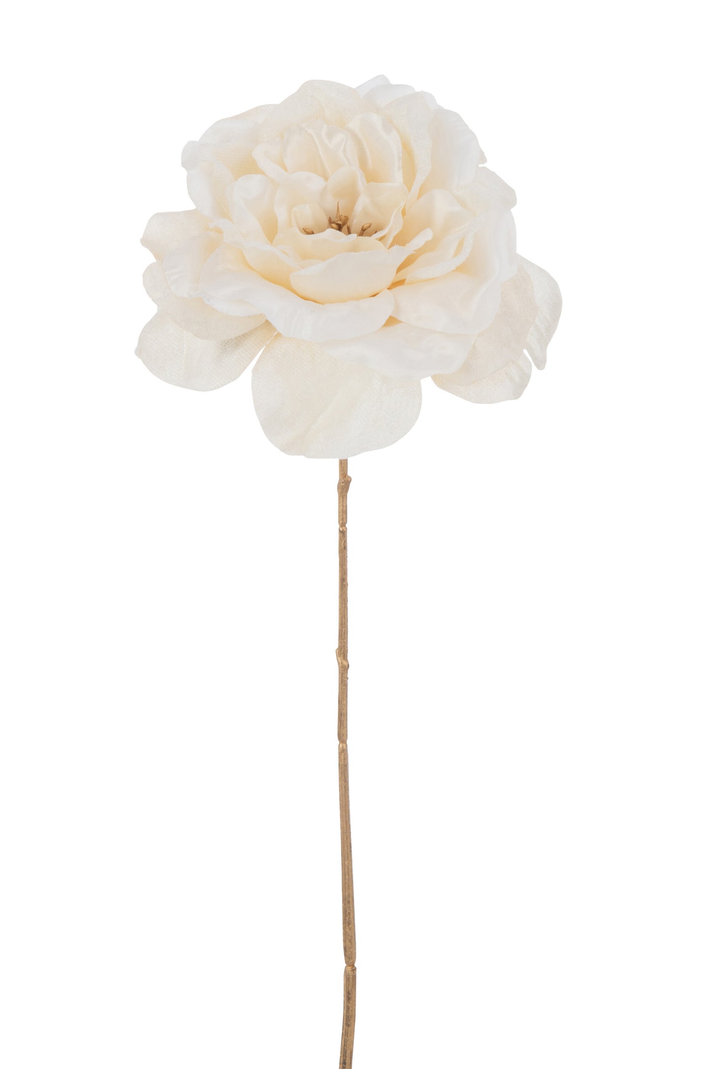 ROSE OPEN SINGLE SPRAY PLASTIC CREAM/GOLD