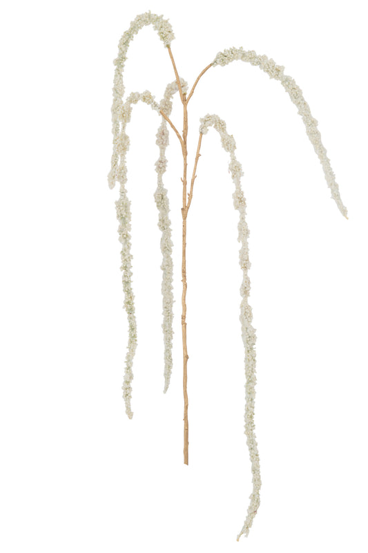 BRANCH AMARANTHUS PLASTIC CREAM/GOLD