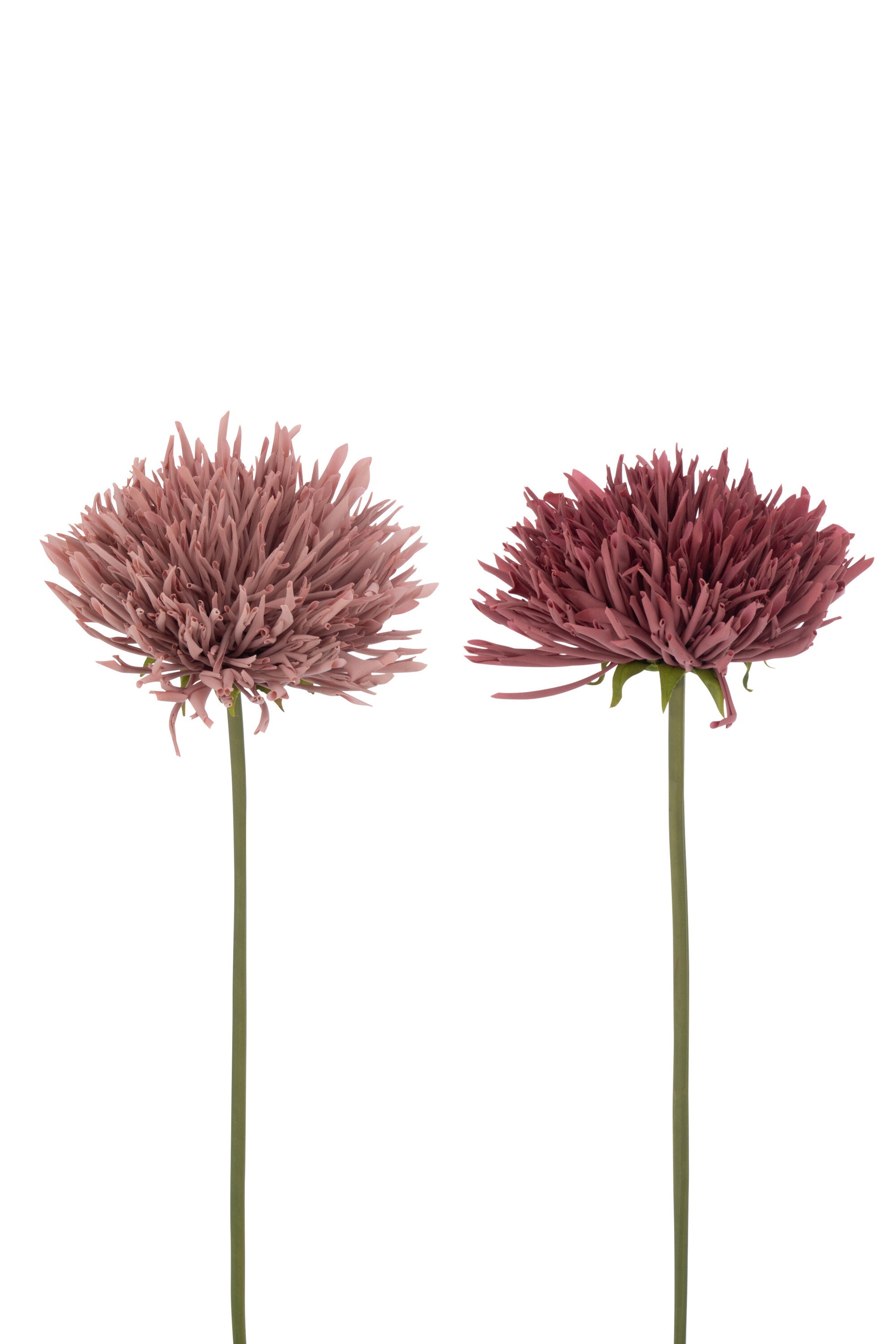 CHRYSANT PLASTIC LIGHT PINK/DARK PINK ASSORTMENT OF 2