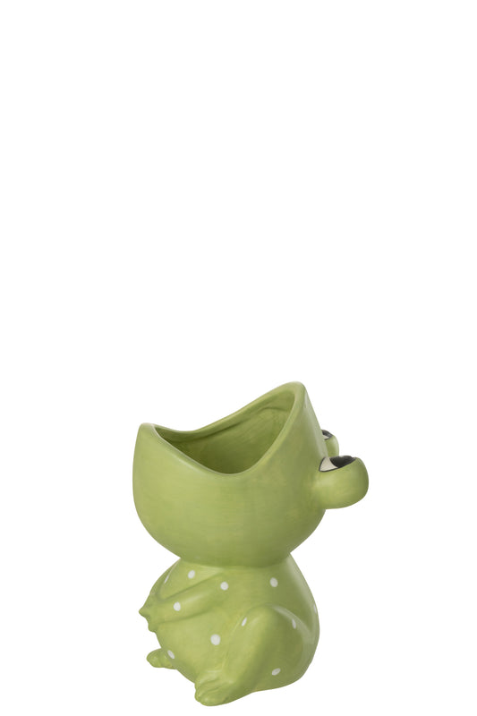 FLOWERPOT FROG OPEN MOUTH DOLOMITE GREEN MEDIUM