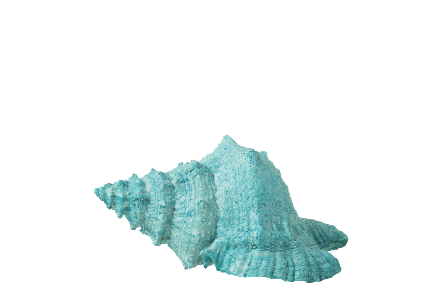 SEASHELL POLYRESIN AZURE