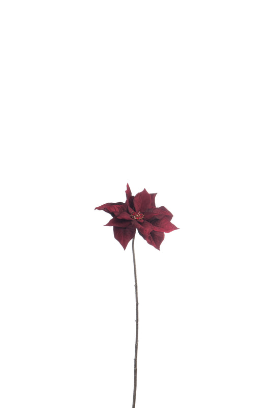 POINSETTIA PLASTIC DEEP RED L