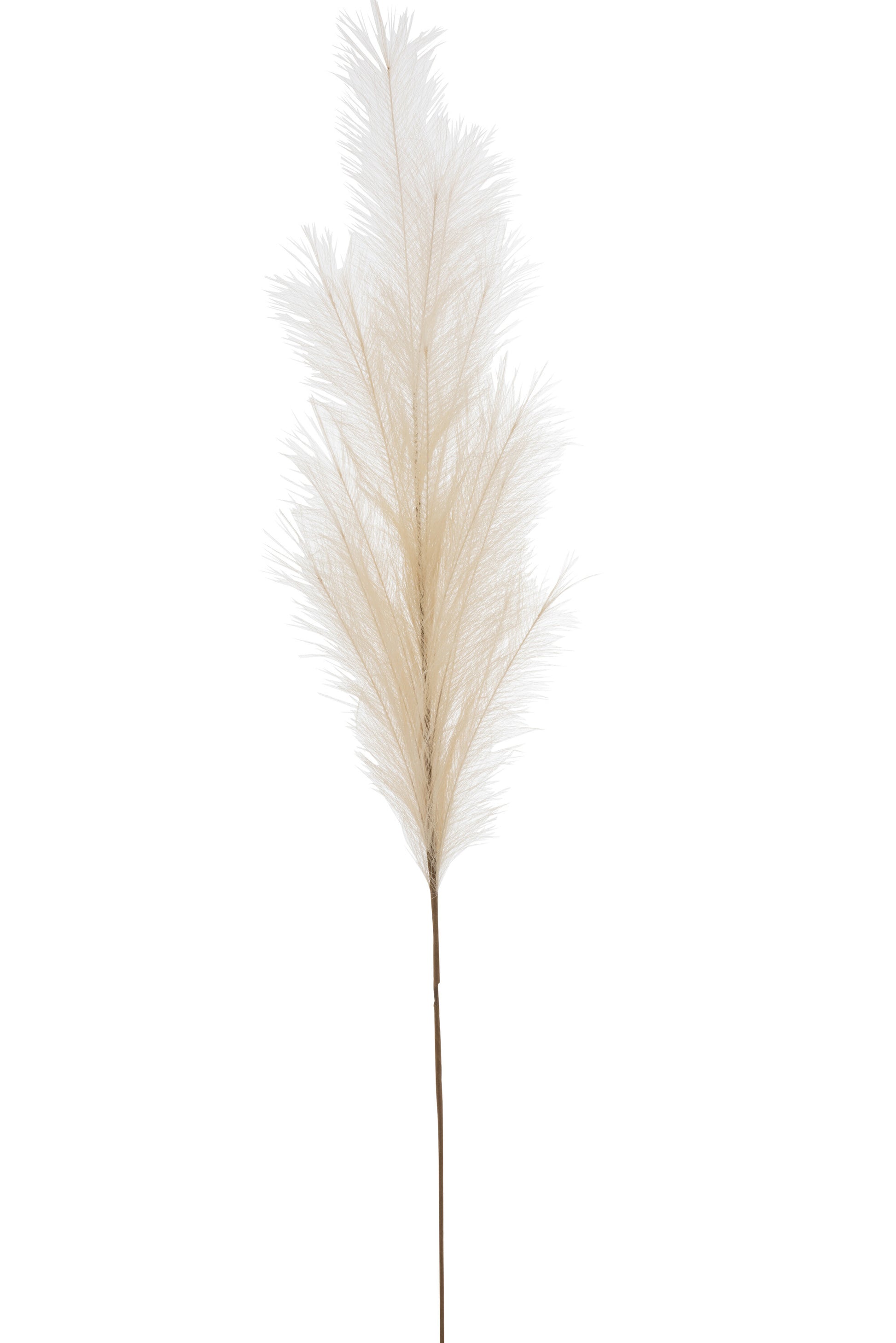 BRANCH FEATHER DUSTER PLASTIC BEIGE