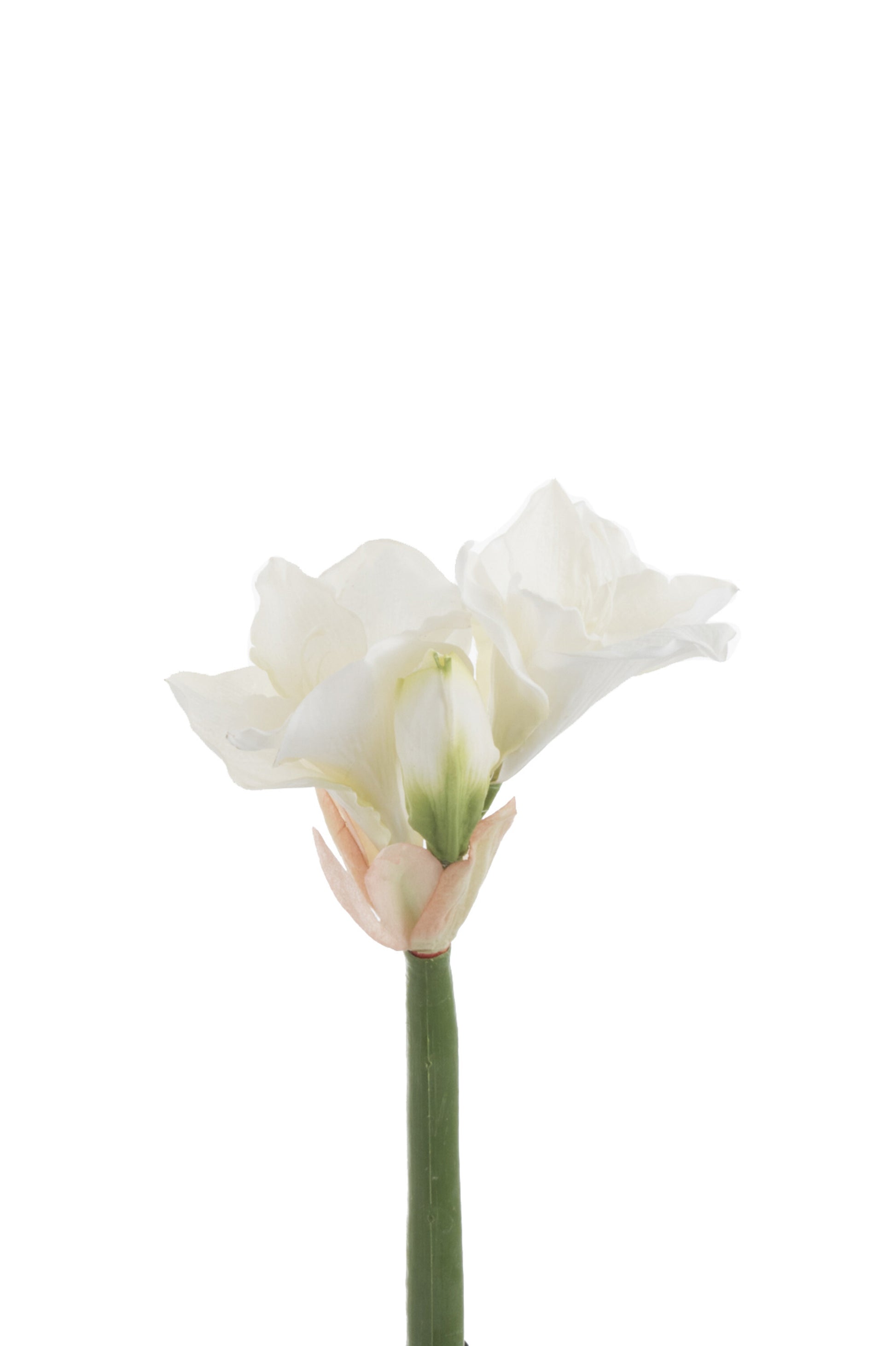 AMARYLLIS FRESH TOUCH PLASTIC WHITE SMALL