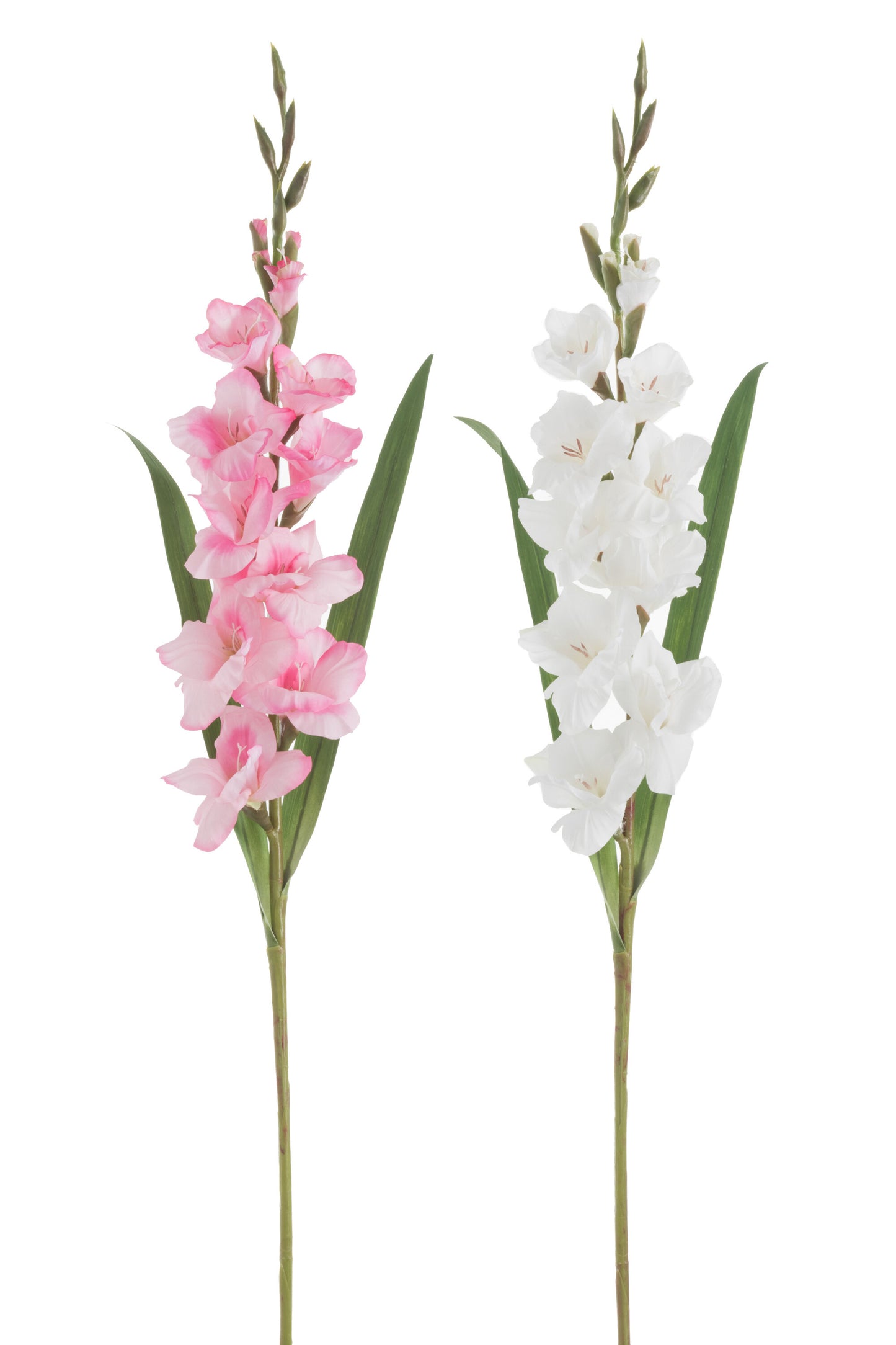 GLADIOLUS FRESH TOUCH PLASTIC WHITE/PINK ASSORTMENT OF 2