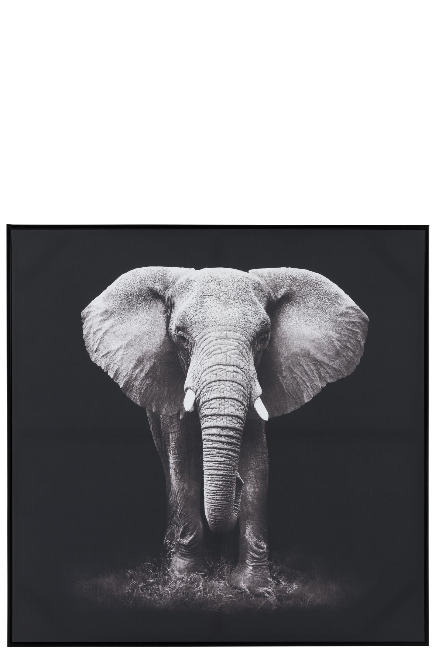 FRAME ELEPHANT WOOD/PAPER BLACK/WHITE