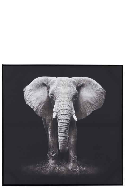 FRAME ELEPHANT WOOD/PAPER BLACK/WHITE