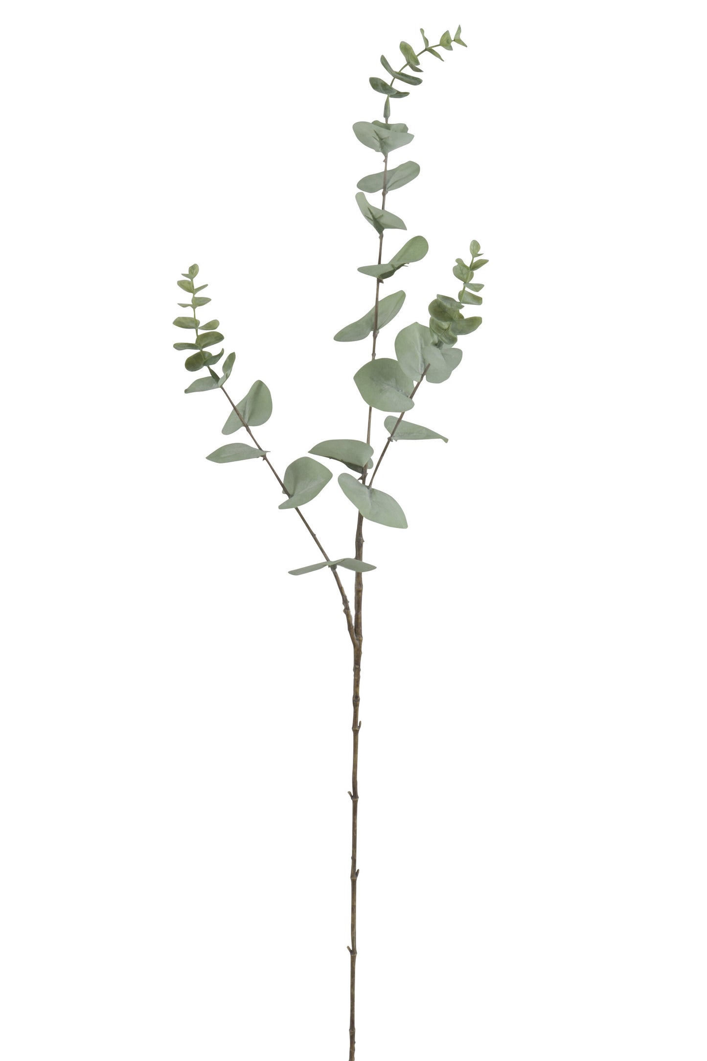 BRANCH EUCALYPTUS 3PARTS PLASTIC GREEN