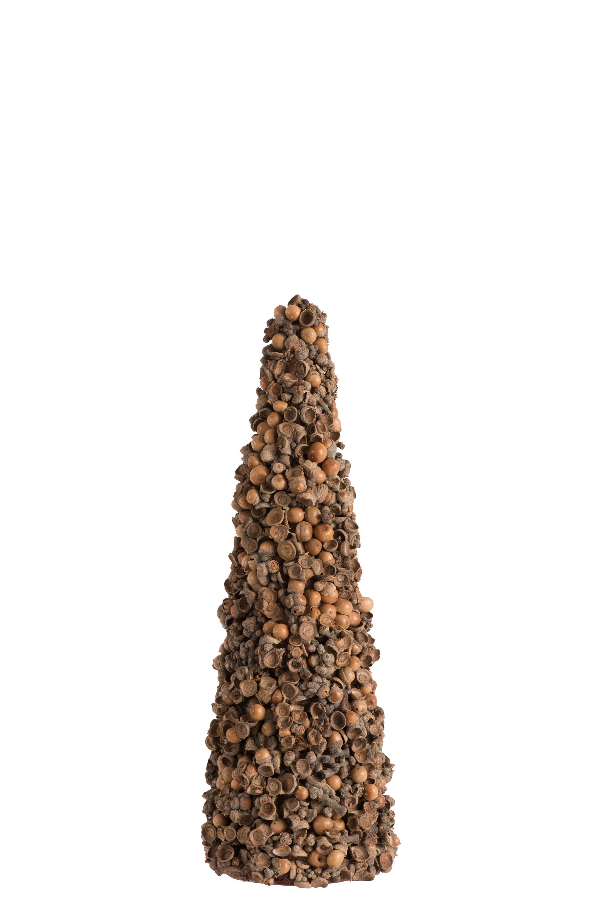 CONE HAZELNUTS BROWN