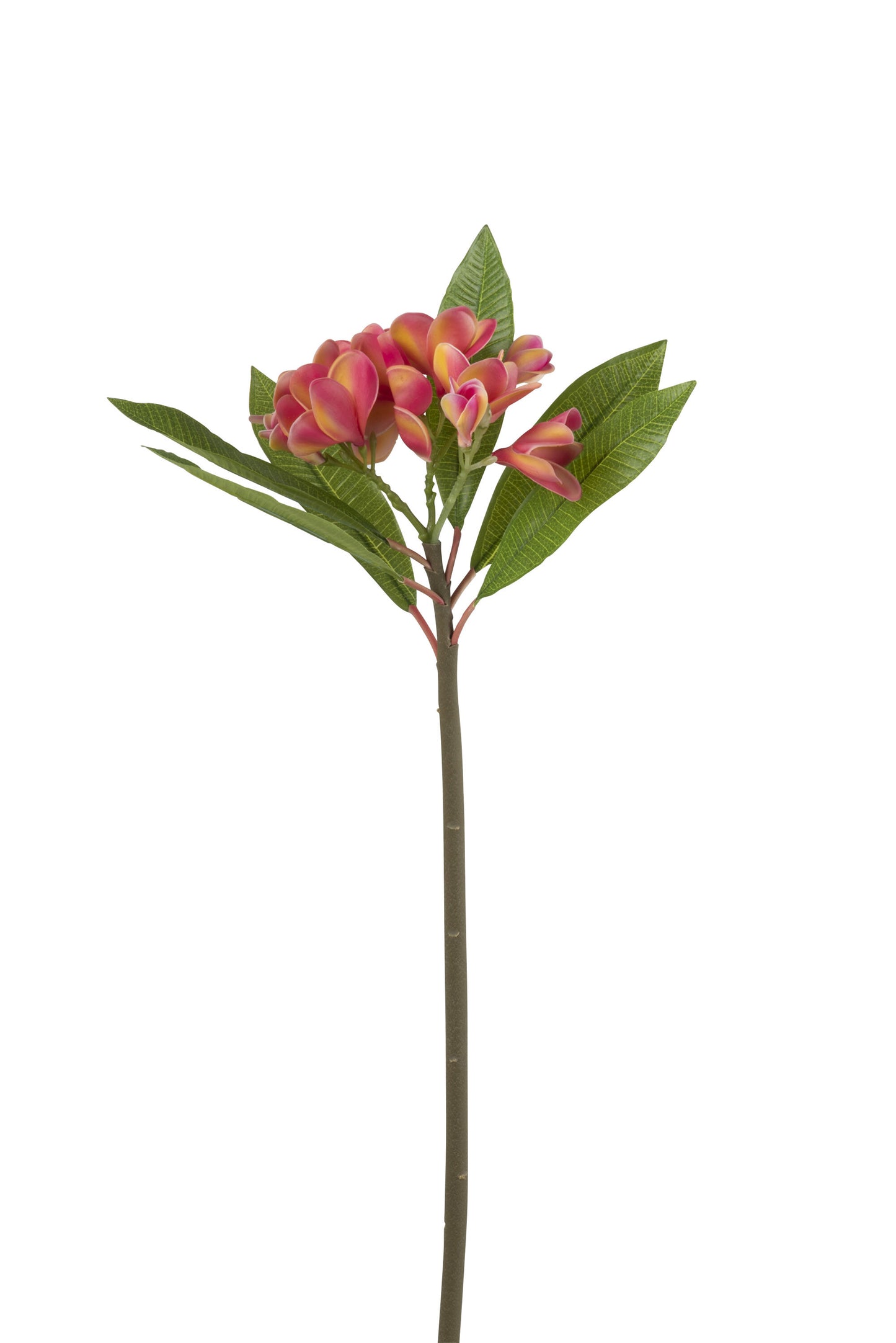 FRANGIPANI FLOWER PLASTIC PINK