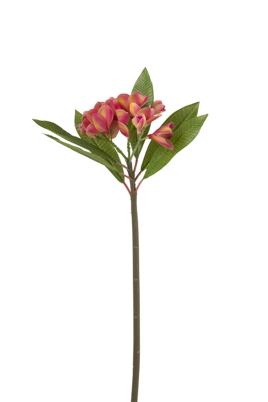 FRANGIPANI FLOWER PLASTIC PINK