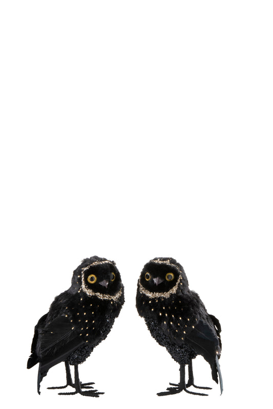 OWL PLUSH/FEATHERS BLACK/GOLD MEDIUM ASSORTMENT OF 2