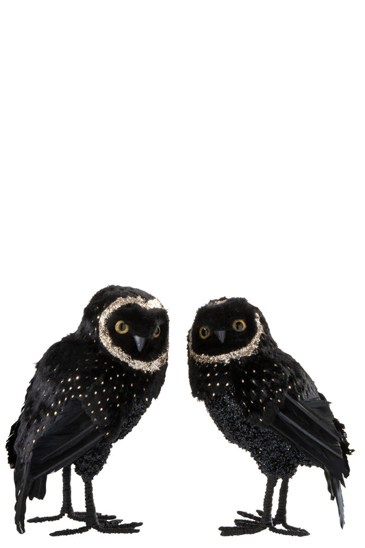 OWL PLUSH/FEATHERS BLACK/GOLD LARGE ASSORTMENT OF 2