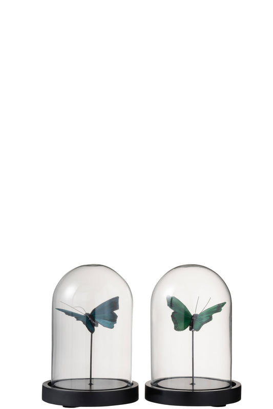 BELL JAR BUTTERFLIES GLASS GREEN/BLUE SMALL ASSORTMENT OF 2